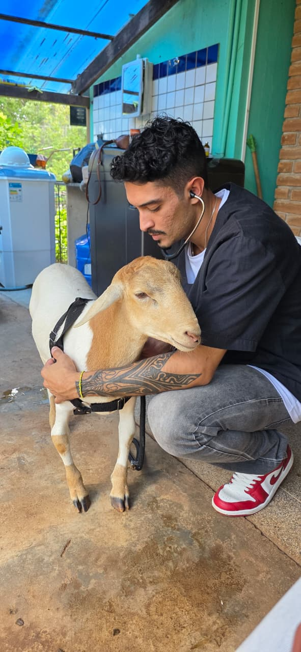 Animais Exóticos e Silvestres